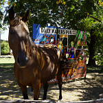 Thumbnail Photo for the Daly Waters Gallery.